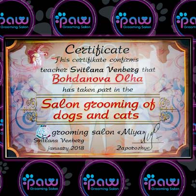 מספרת כלבים ברחובות PAW Grooming Salon תעודת מקצוע ספרית כלבים